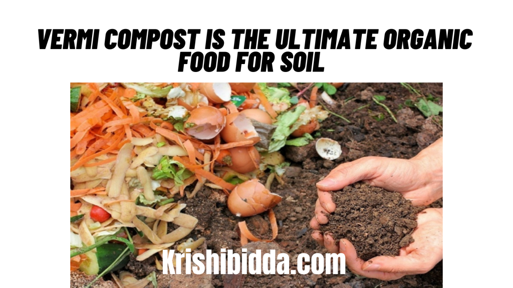 Vermi Compost Is the Ultimate Organic Food For Soil - krishibidda.com
