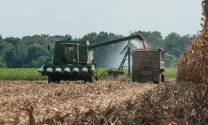 American Agricultural Growth, Best Impactful For US Economy In 2023