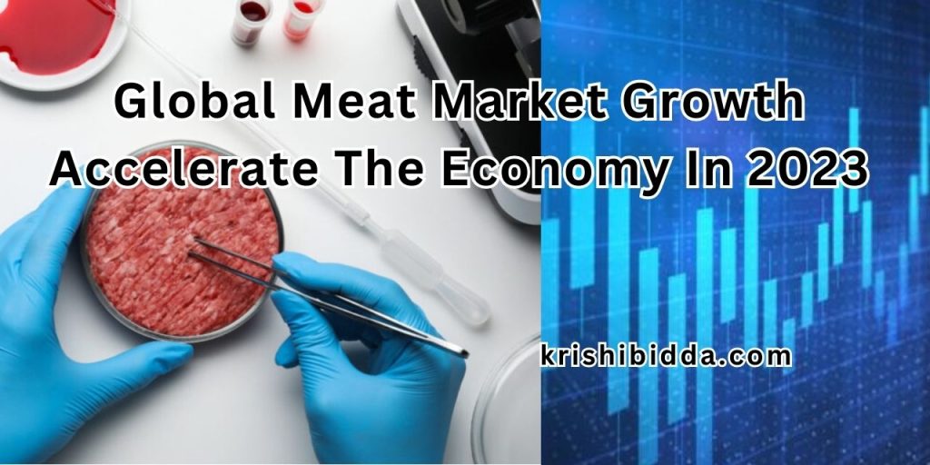 Global Meat Market Growth Accelerate The Economy In 2023