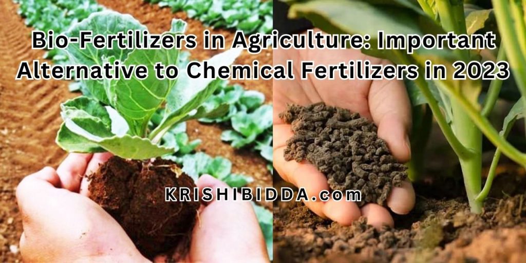 Bio-Fertilizers in Agriculture: Important Alternative to Chemical Fertilizers in 2023