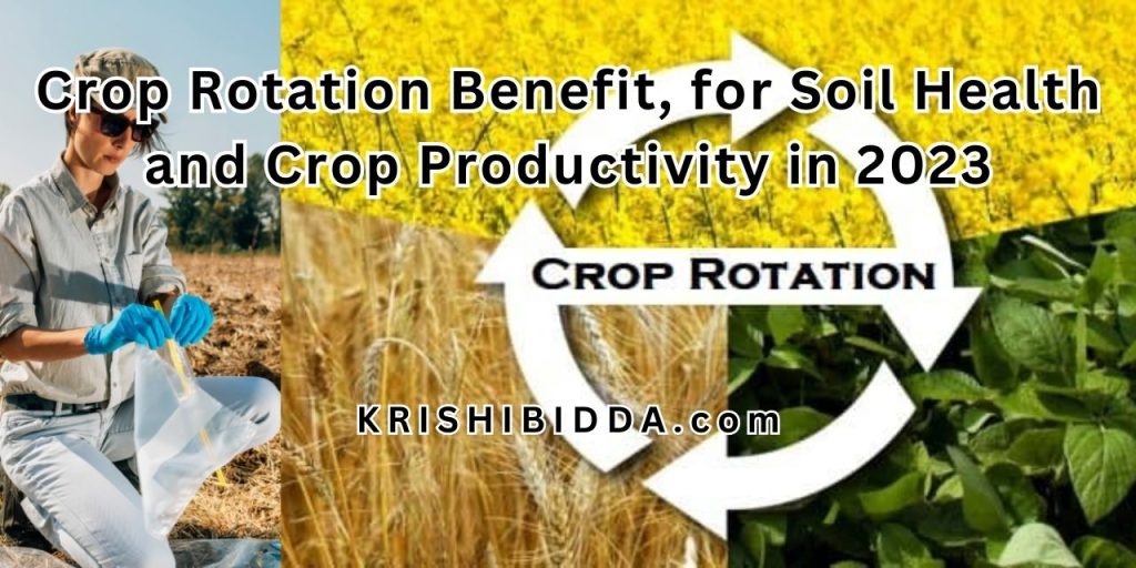 Crop Rotation Benefit, for Soil Health and Crop Productivity in 2023