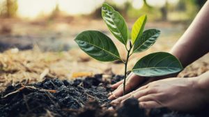 Soil Health and Human Health, Exclusive Relation and co-ordination At 2023