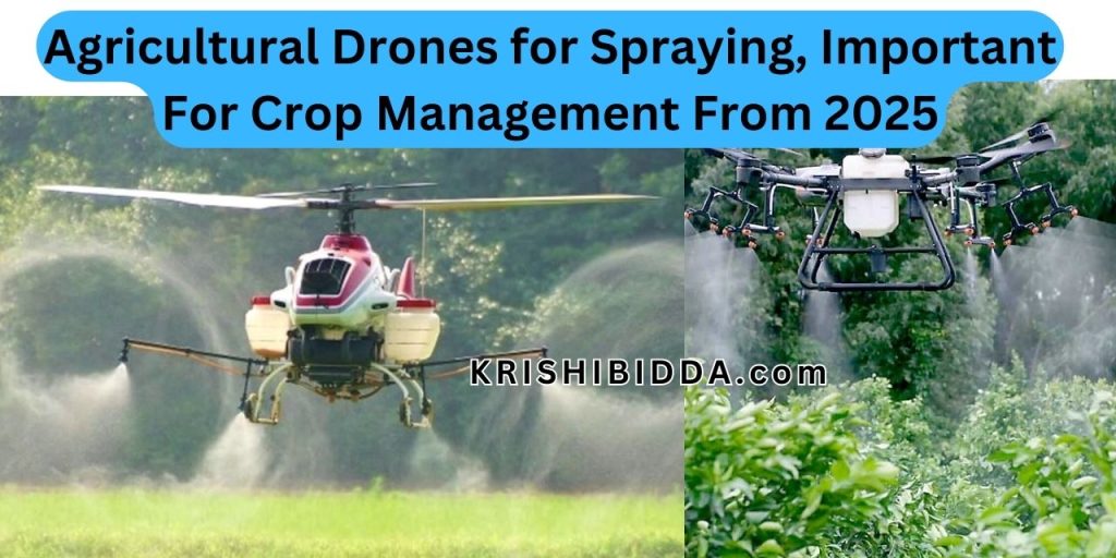 Agricultural Drones for Spraying, Important For Crop Management From 2025