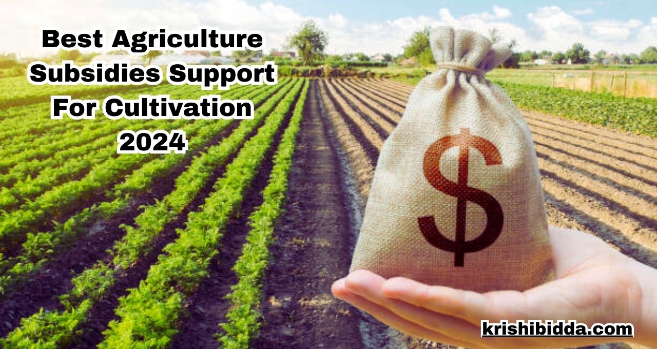 Best Agriculture Subsidies Support For Cultivation 2024