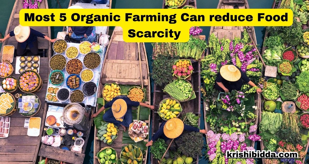 Most 5 Organic Farming Can reduce Food Scarcity